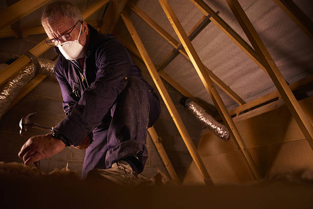 Best Cellulose Insulation in Corte Madera, CA